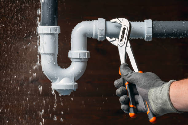 Professional Leak Detection technician working in Bloomingdale, IN